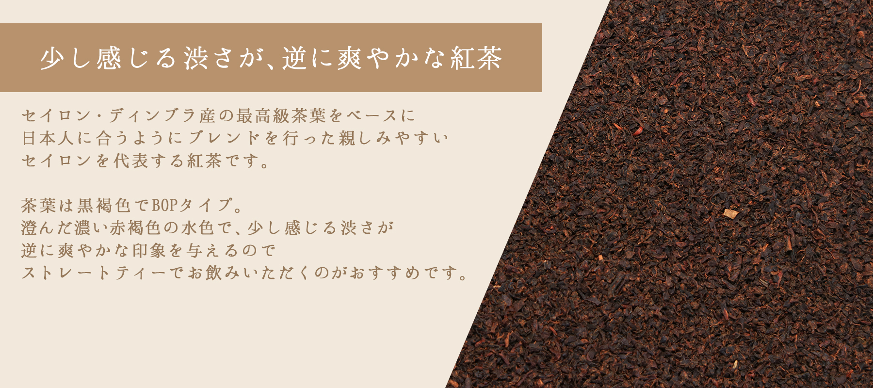 茶葉の説明