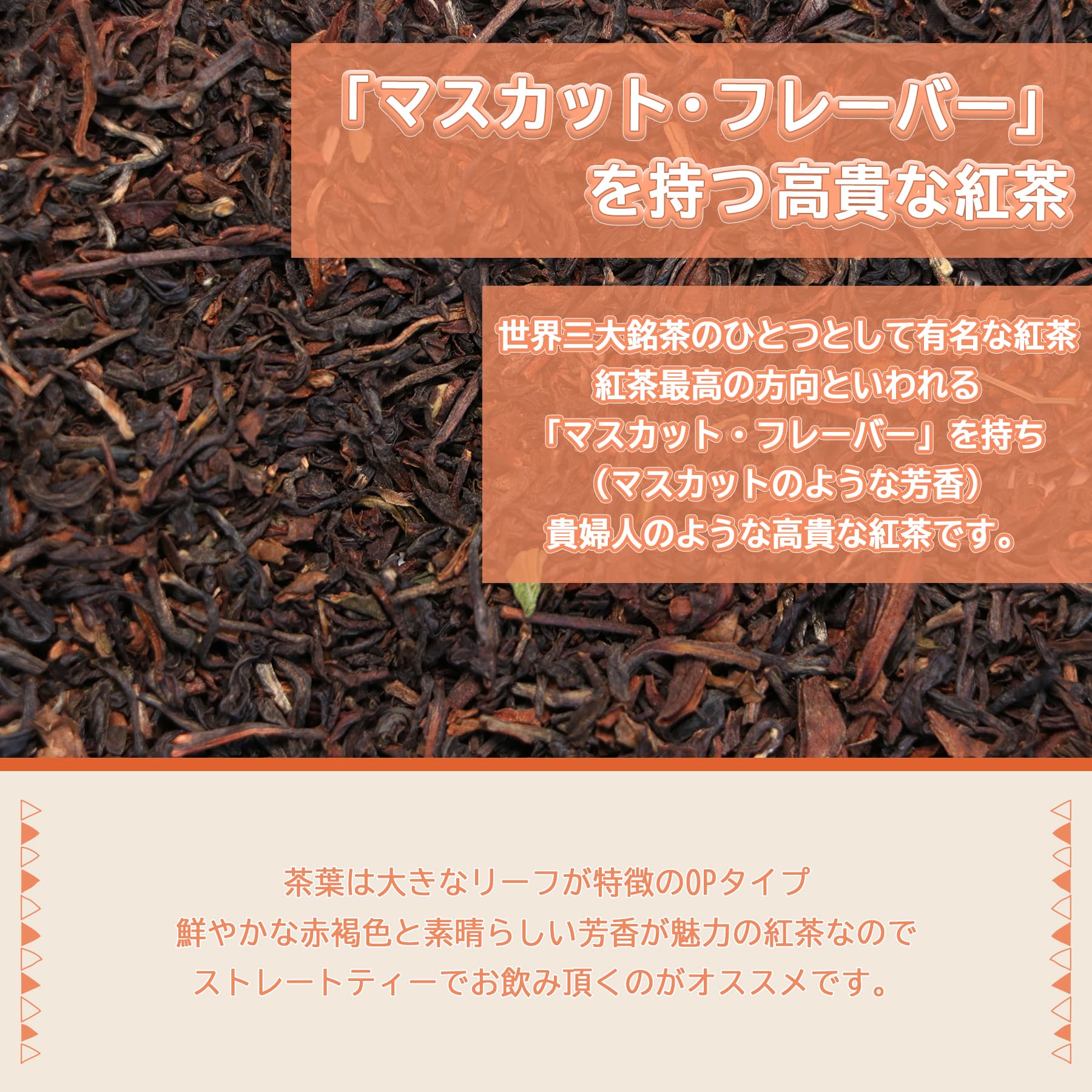 茶葉の説明