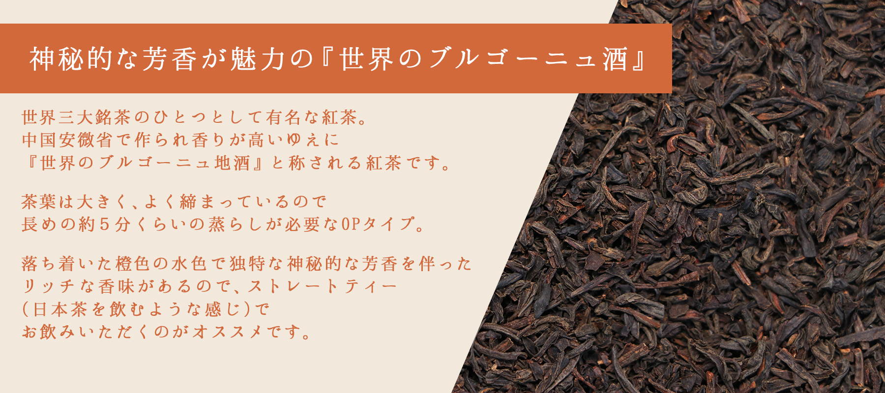 茶葉の説明