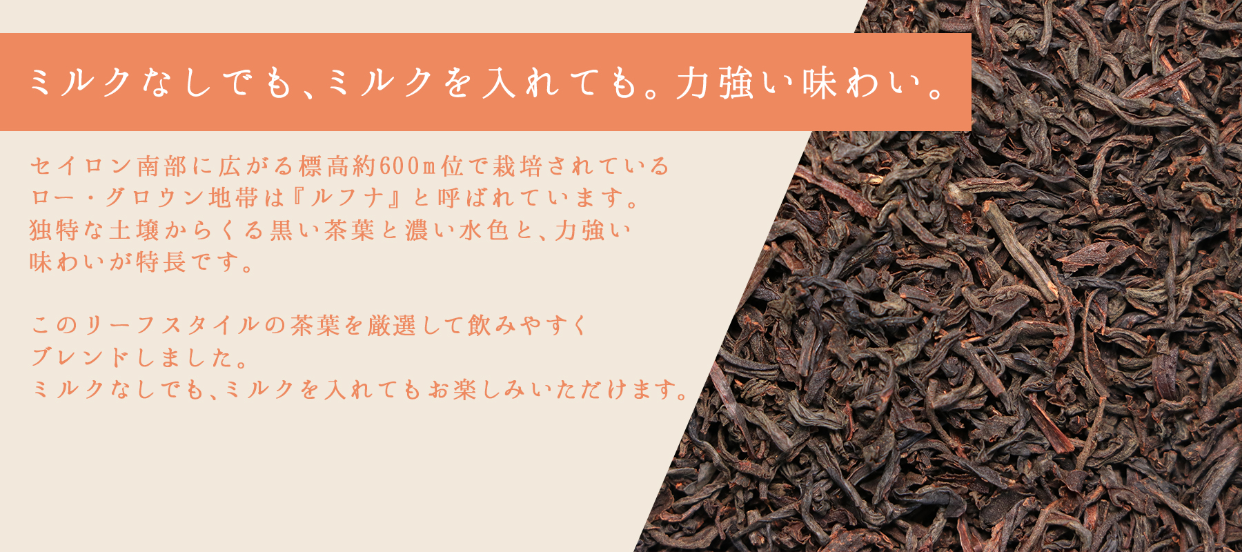 茶葉の説明